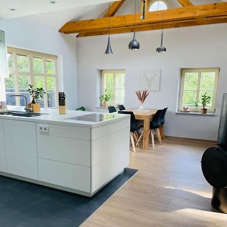 Traumvilla Im Herzen Hainichens エクステリア 写真