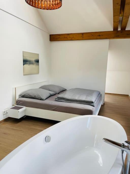 Traumvilla Im Herzen Hainichens エクステリア 写真