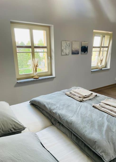 Traumvilla Im Herzen Hainichens エクステリア 写真