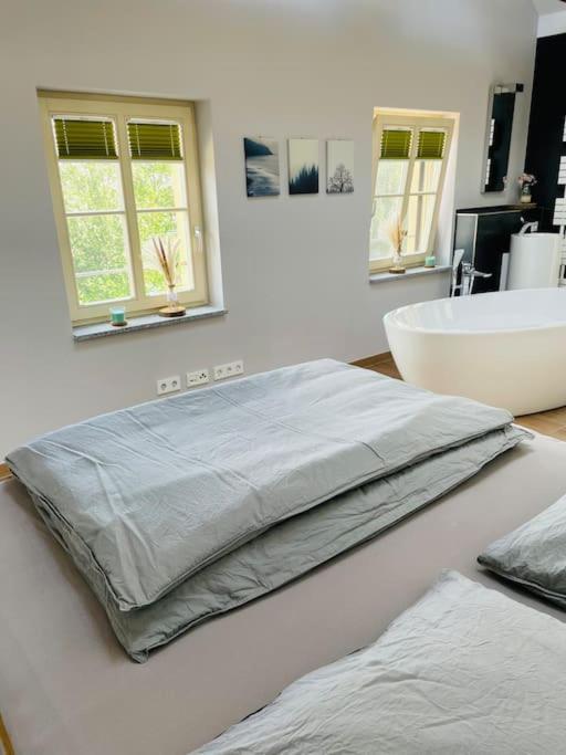 Traumvilla Im Herzen Hainichens エクステリア 写真