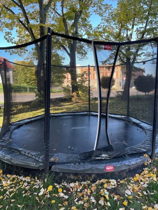 Traumvilla Im Herzen Hainichens エクステリア 写真