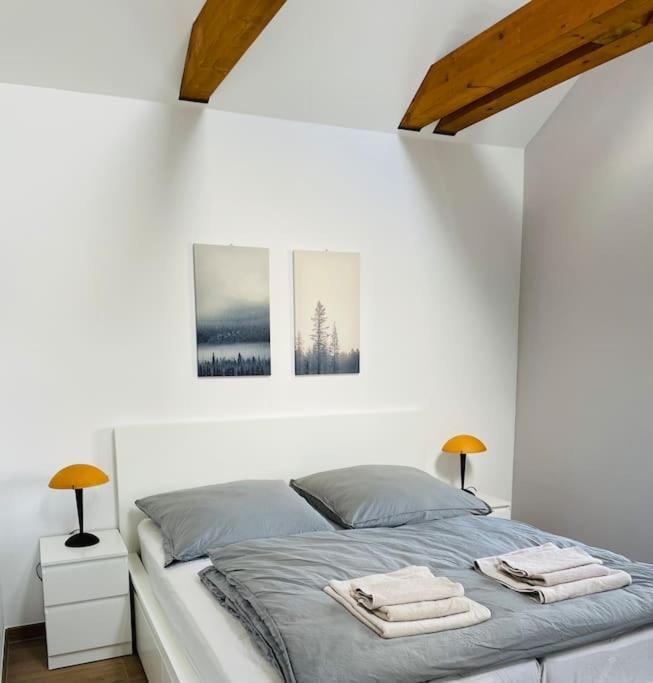 Traumvilla Im Herzen Hainichens エクステリア 写真